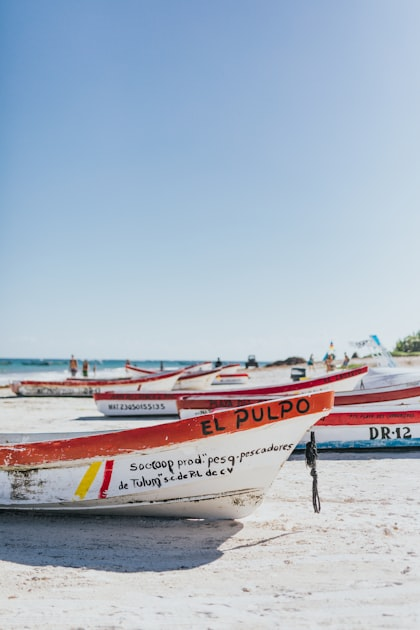 Top Fishing Spots in Palm Coast